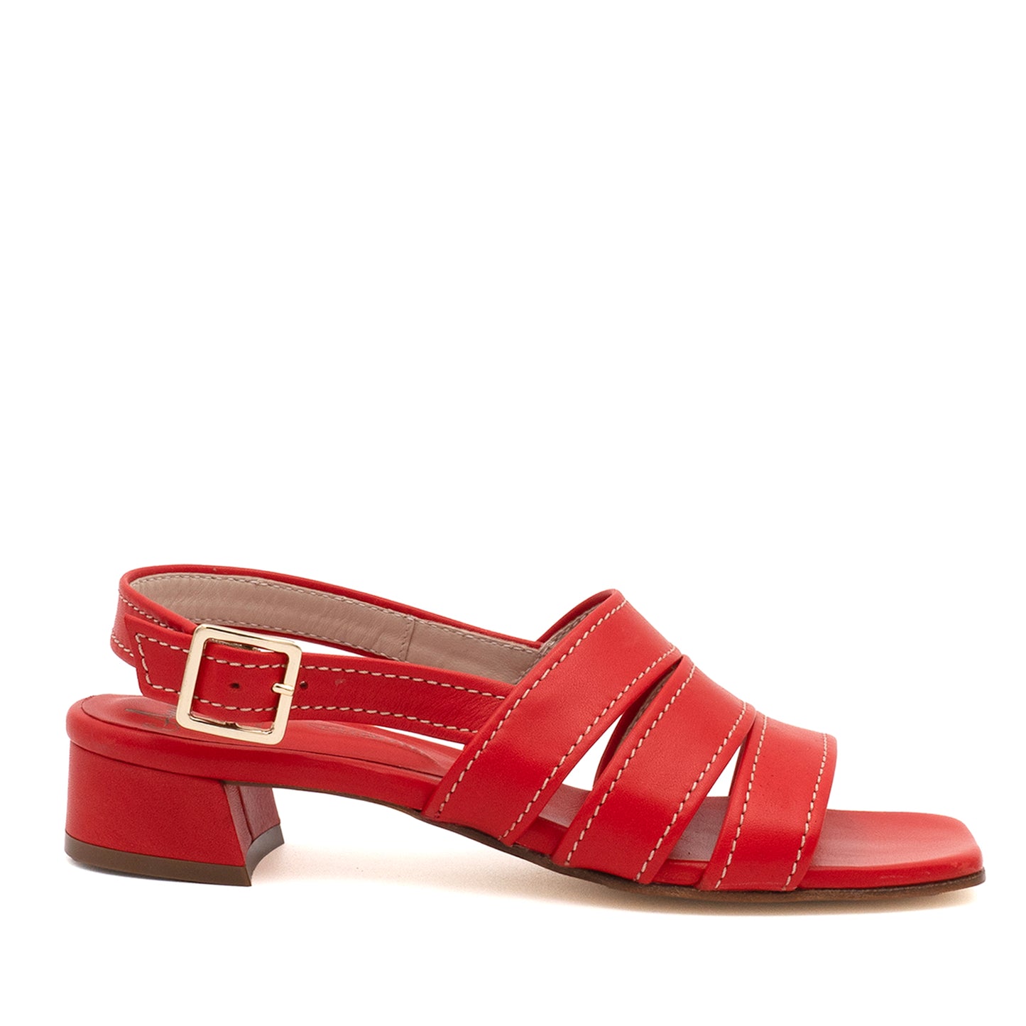 Baltimora Stp Ot Red Lobo Savanna