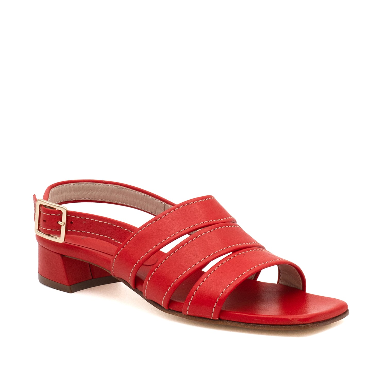 Baltimora Stp Ot Red Lobo Savanna