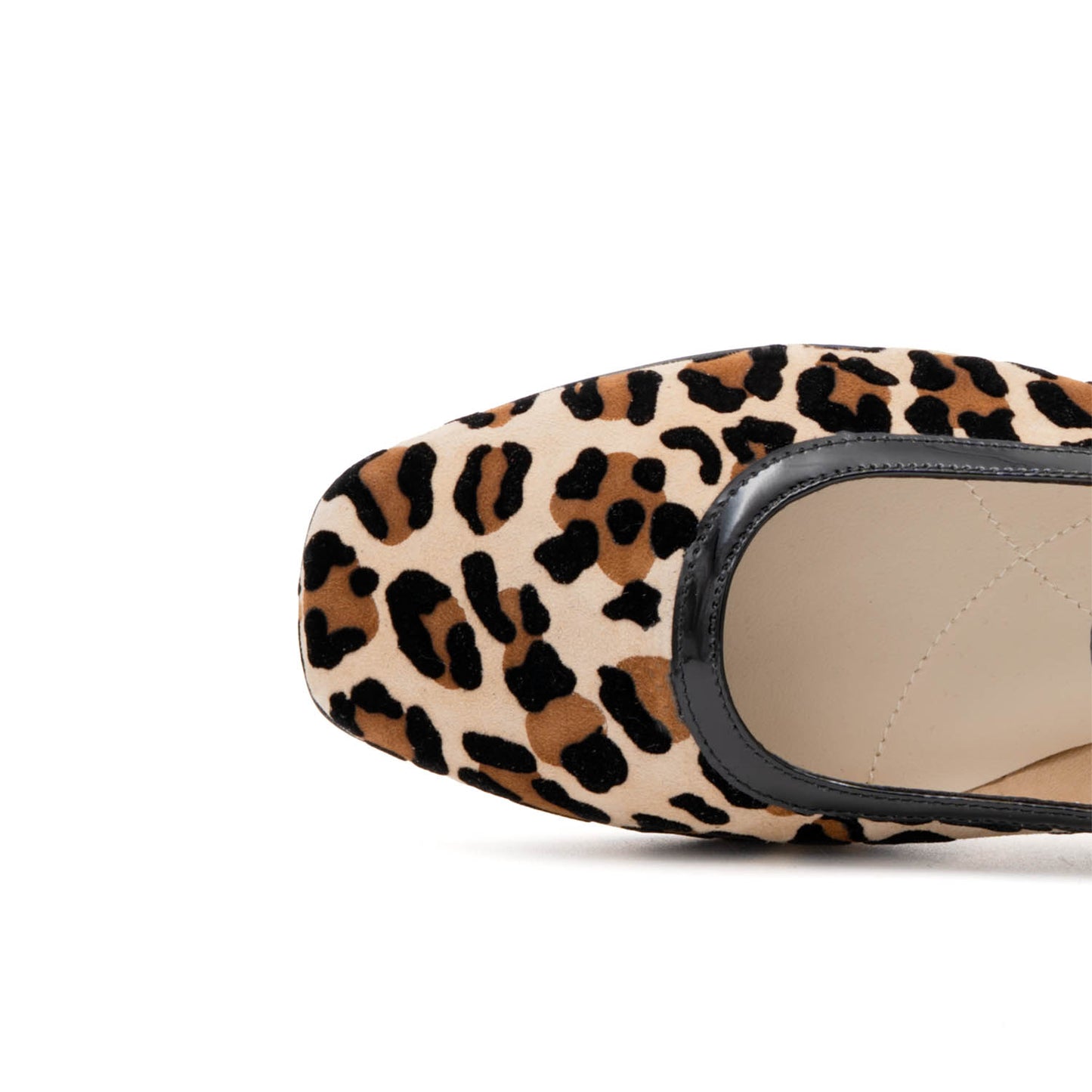 Galba Flat/Stp Natur Kito