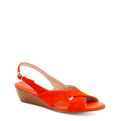 Magnete Sling Carrot
