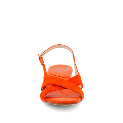 Magnete Sling Carrot